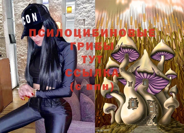 винт Абинск
