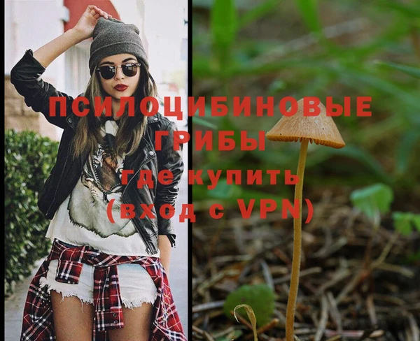 герыч Абаза